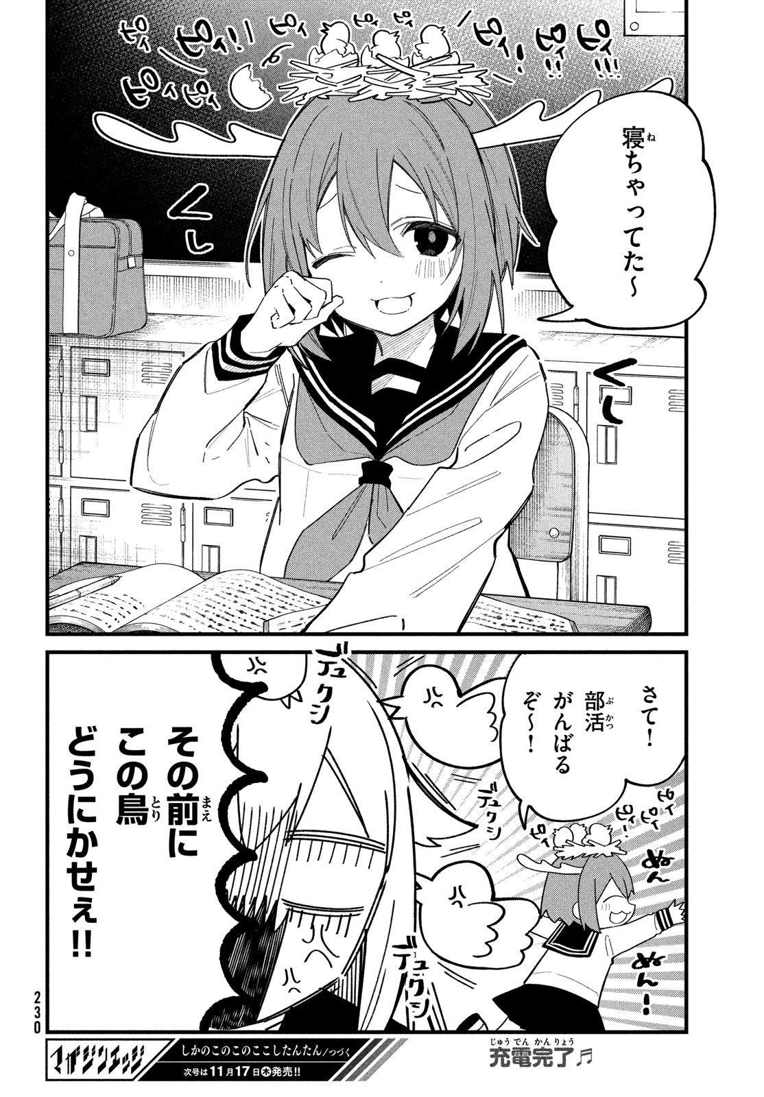 しかのこのこのここしたんたん 第29話 - Page 16