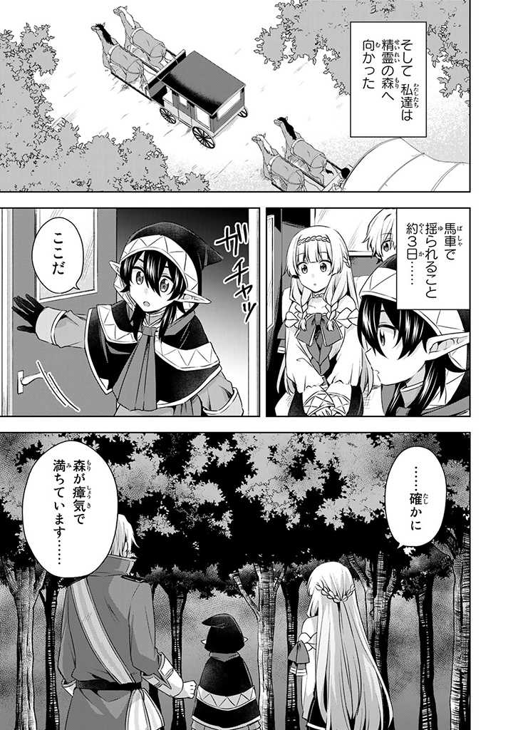 真の聖女である私は追放されました。だからこの国はもう終わりです 第27.1話 - Page 14