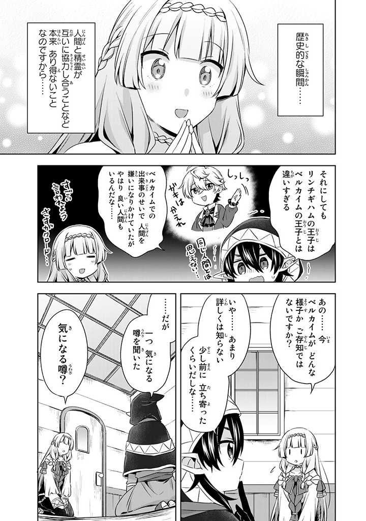 真の聖女である私は追放されました。だからこの国はもう終わりです 第28.2話 - Page 13