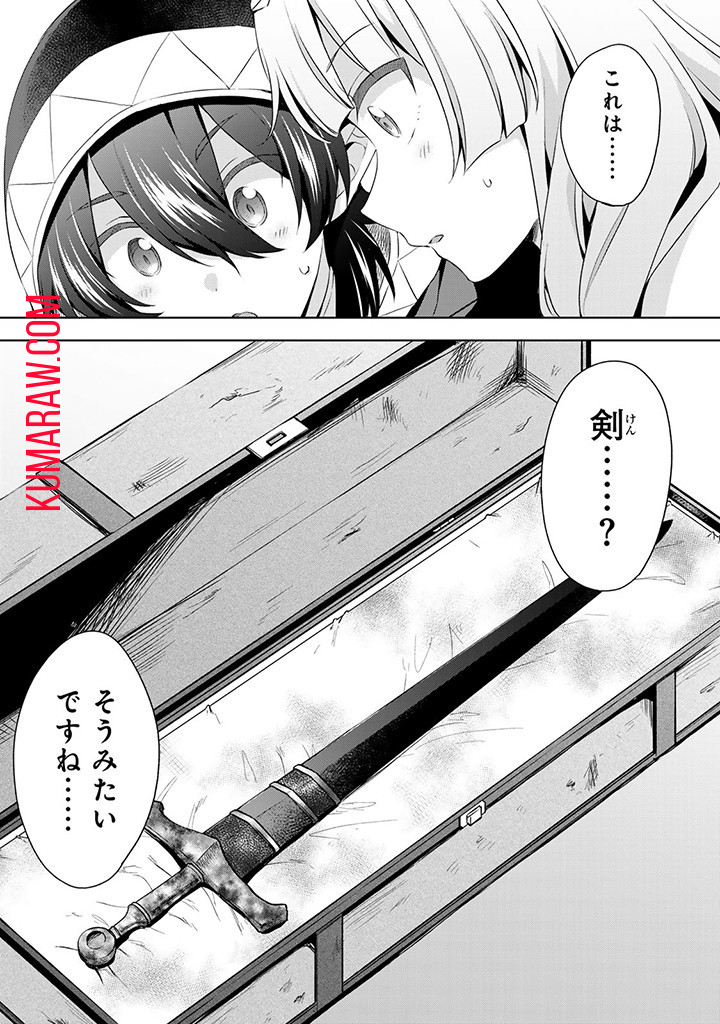 真の聖女である私は追放されました。だからこの国はもう終わりです 第33.1話 - Page 3