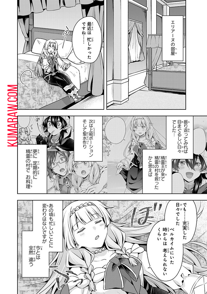 真の聖女である私は追放されました。だからこの国はもう終わりです 第33.2話 - Page 13