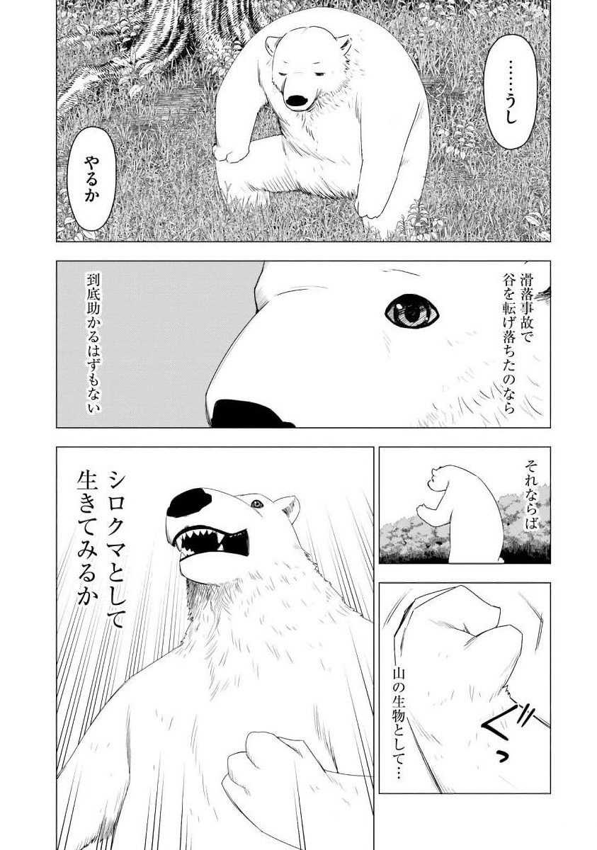 シロクマ転生森の守護神になったぞ伝説 第1話 - Page 28