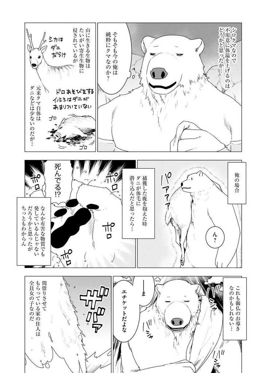 シロクマ転生森の守護神になったぞ伝説 第4話 - Page 26