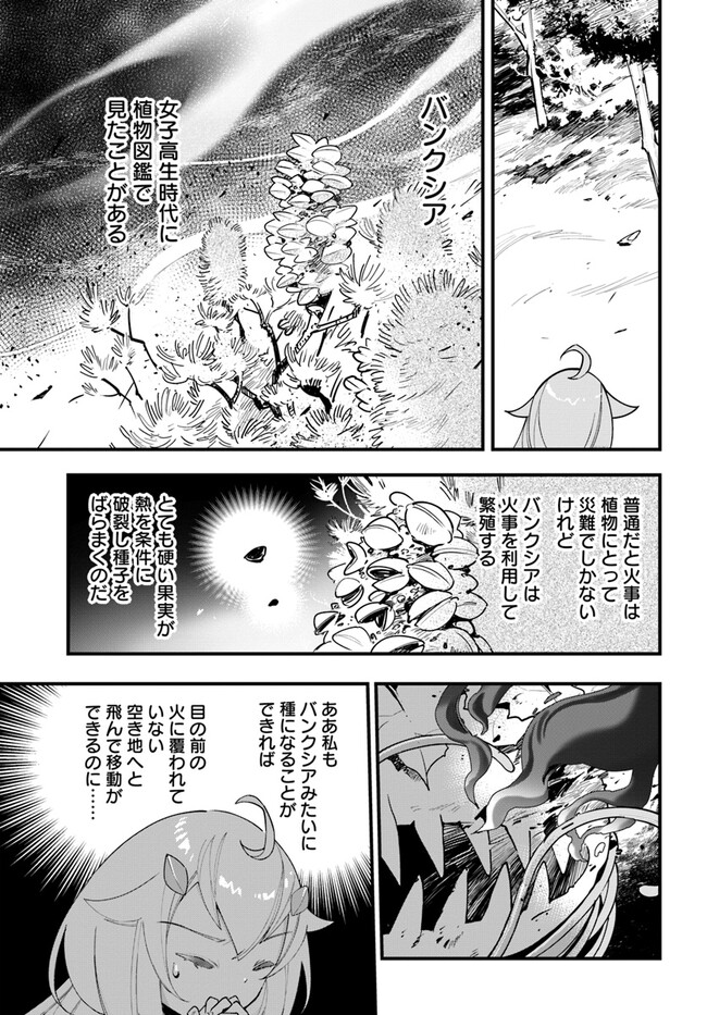 植物モンスター娘日記　～聖女だった私が裏切られた果てにアルラウネに転生してしまったので、これからは光合成をしながら静かに植物ライフを過ごします～ 第14話 - Page 19