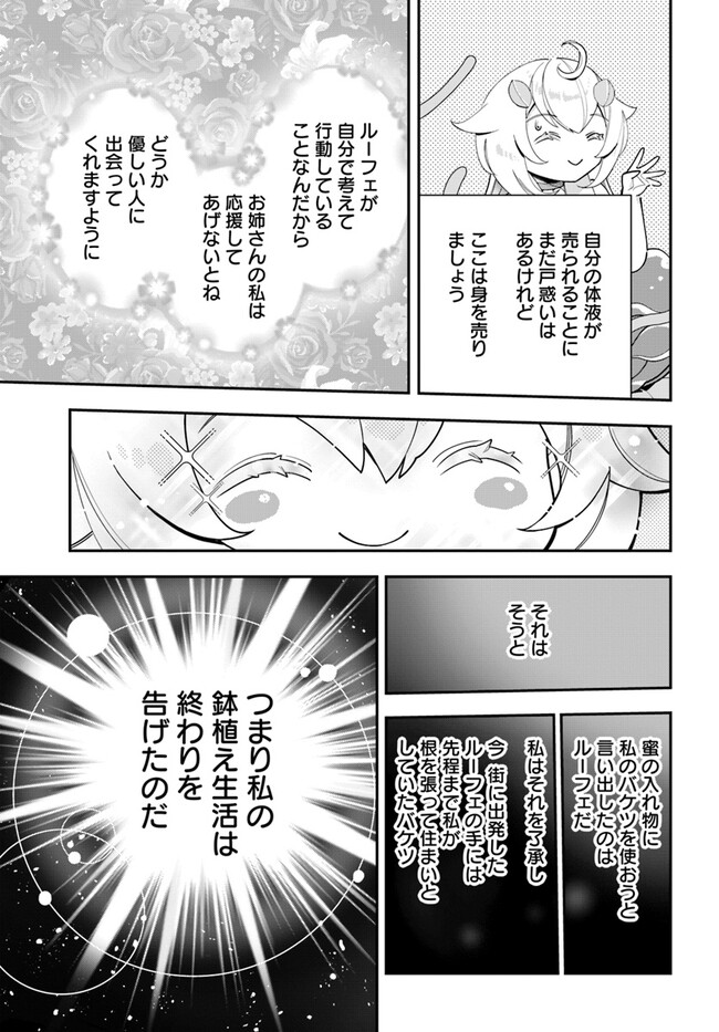 植物モンスター娘日記　～聖女だった私が裏切られた果てにアルラウネに転生してしまったので、これからは光合成をしながら静かに植物ライフを過ごします～ 第21話 - Page 7