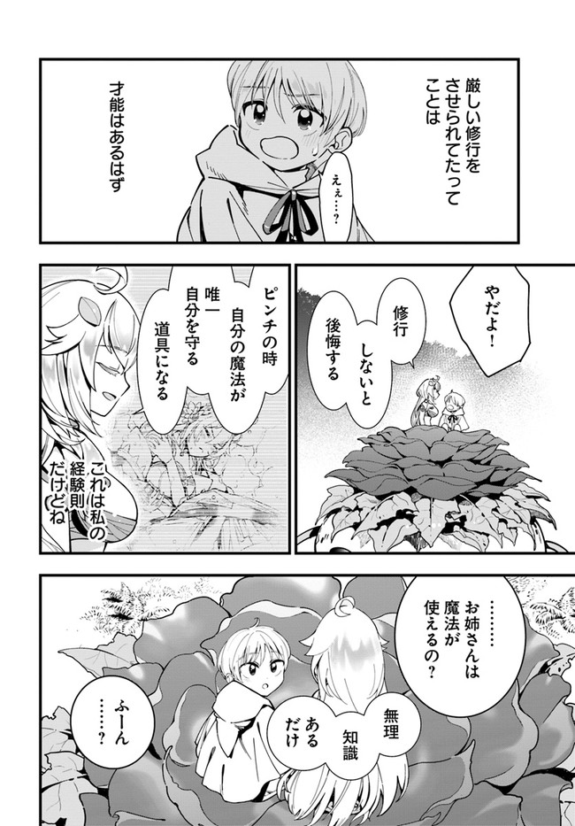 植物モンスター娘日記　～聖女だった私が裏切られた果てにアルラウネに転生してしまったので、これからは光合成をしながら静かに植物ライフを過ごします～ 第4話 - Page 20