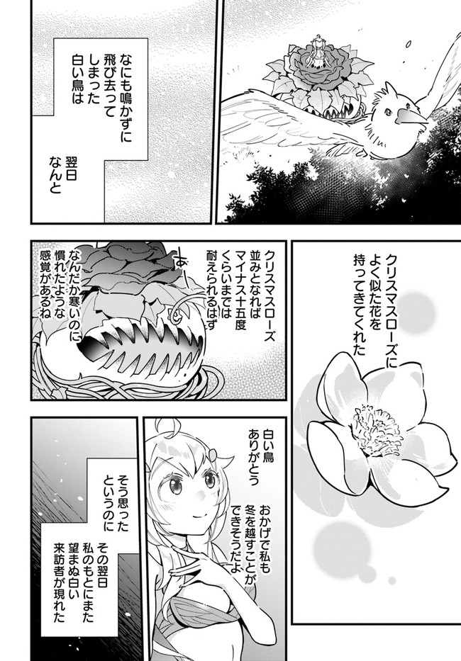 植物モンスター娘日記　～聖女だった私が裏切られた果てにアルラウネに転生してしまったので、これからは光合成をしながら静かに植物ライフを過ごします～ 第9話 - Page 16