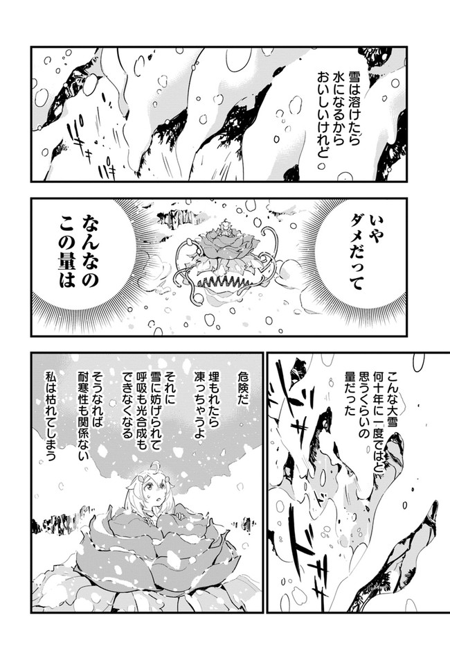 植物モンスター娘日記　～聖女だった私が裏切られた果てにアルラウネに転生してしまったので、これからは光合成をしながら静かに植物ライフを過ごします～ 第9話 - Page 18