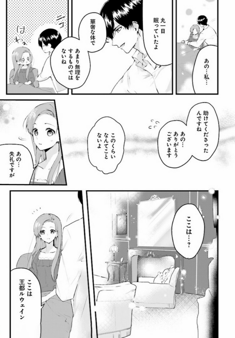 傷心公爵令嬢レイラの逃避行 第1.3話 - Page 11