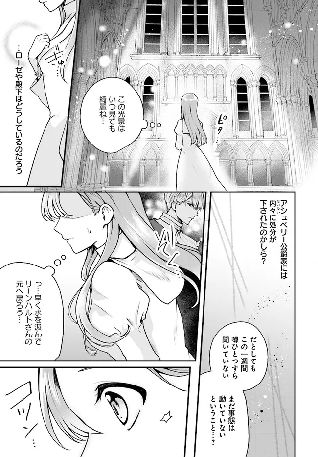 傷心公爵令嬢レイラの逃避行 第16.3話 - Page 5