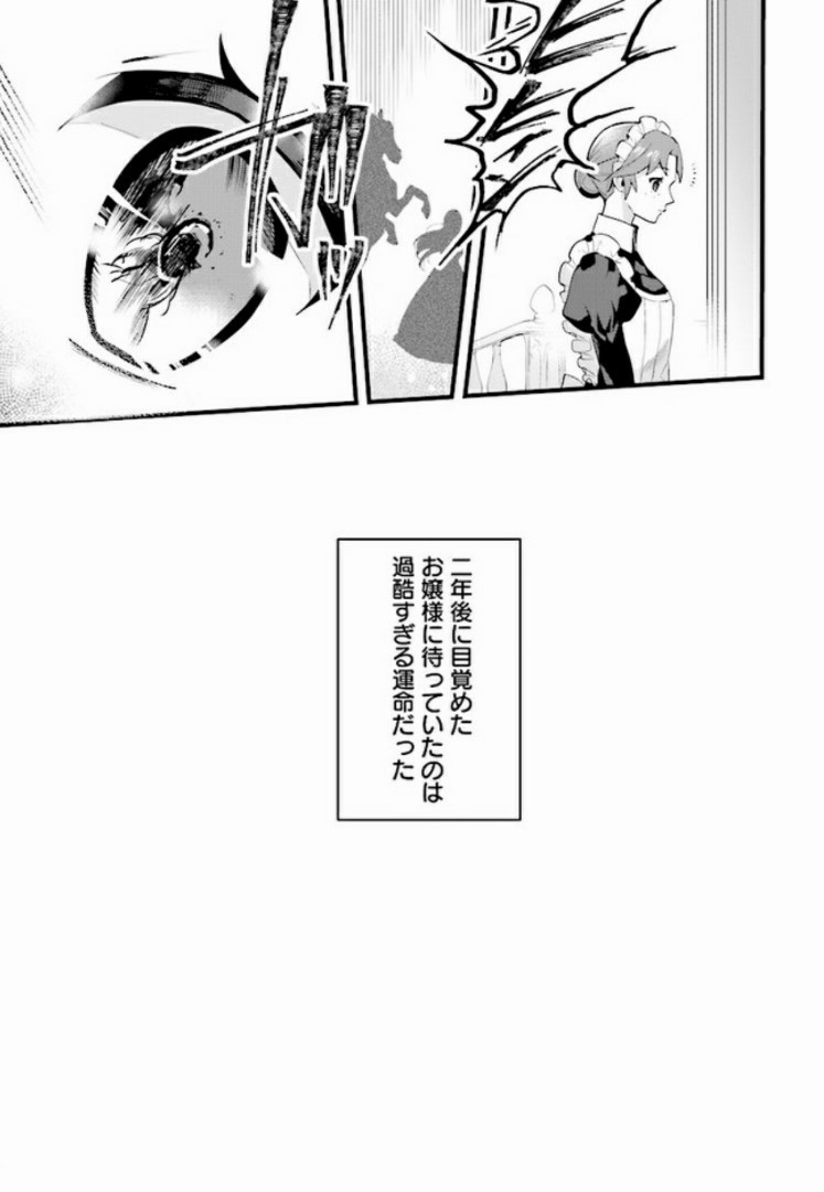 傷心公爵令嬢レイラの逃避行 第2.2話 - Page 9