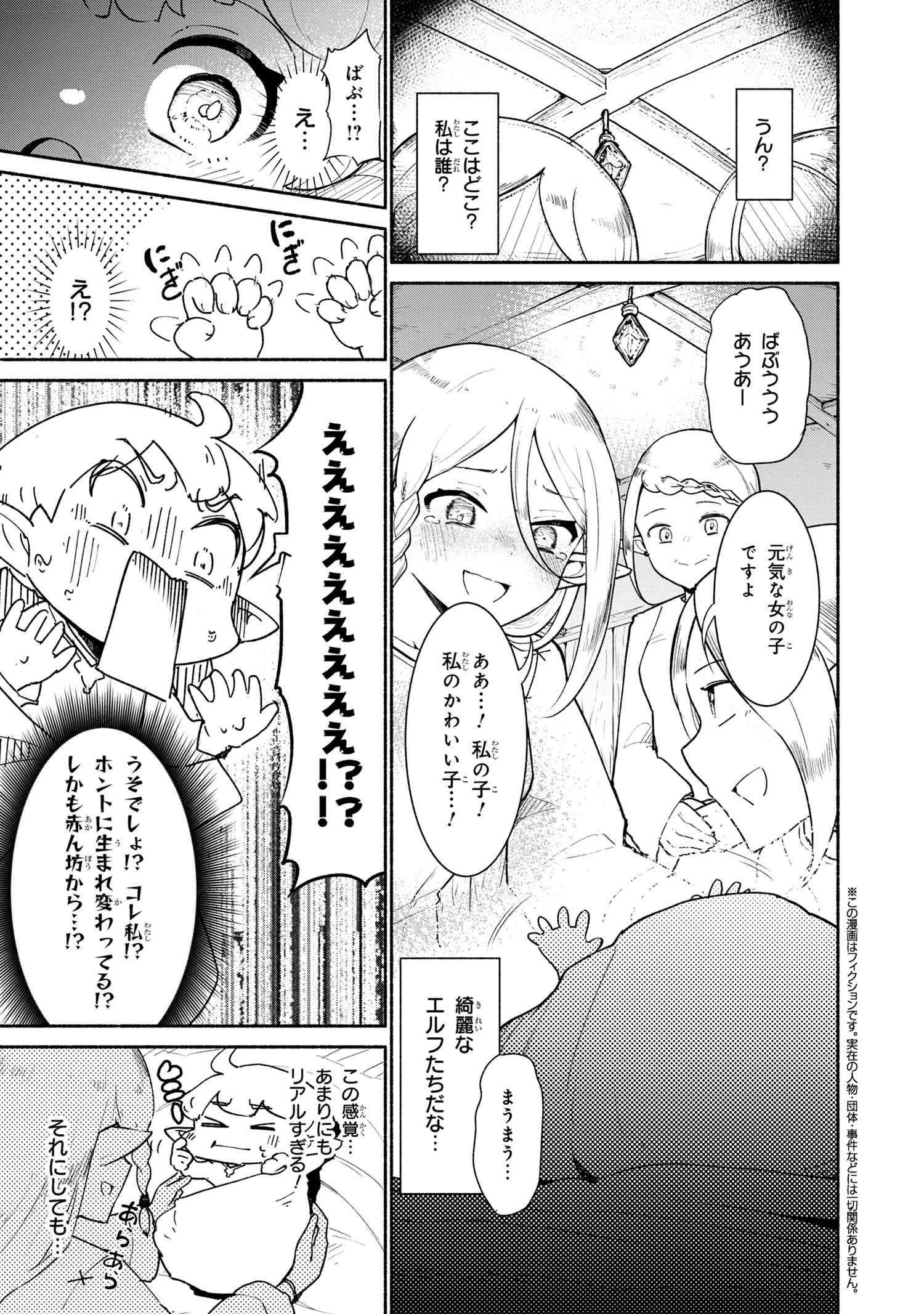 捨てられエルフさんは世界で一番強くて可愛い! 第1.1話 - Page 1