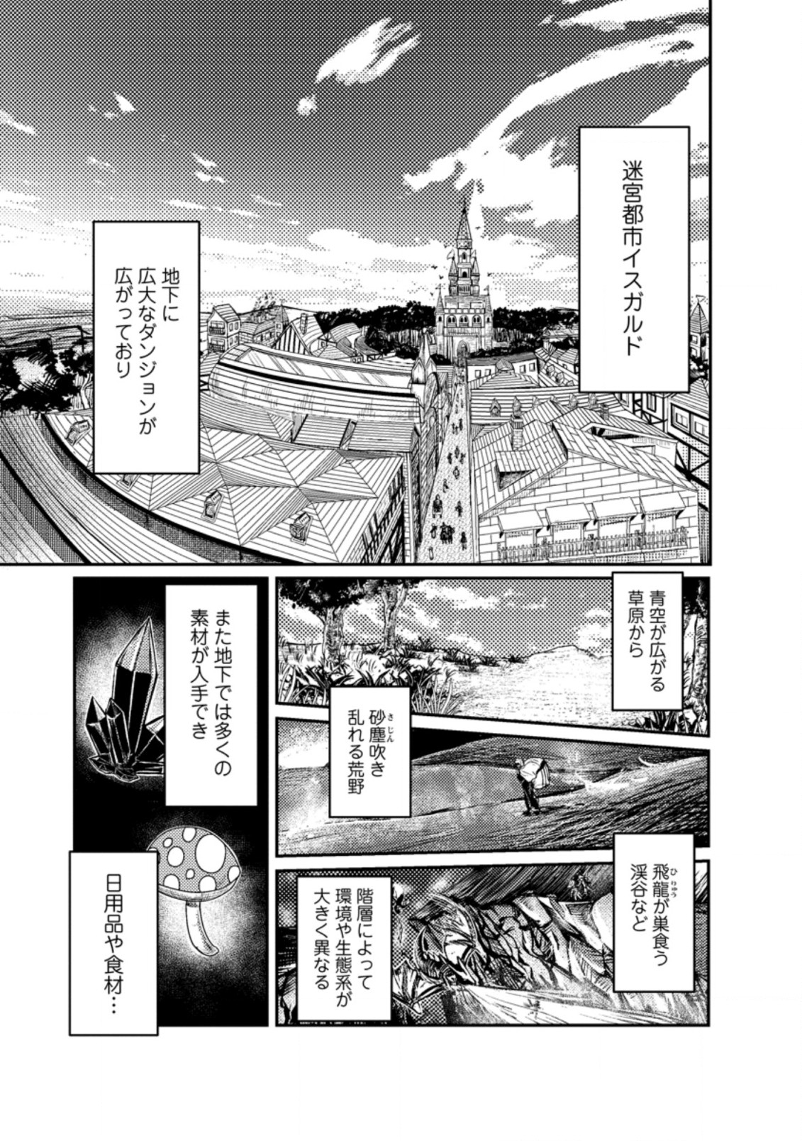 宝くじが当たったのでレベル１から聖剣を買ってみる 第1話 - Page 13