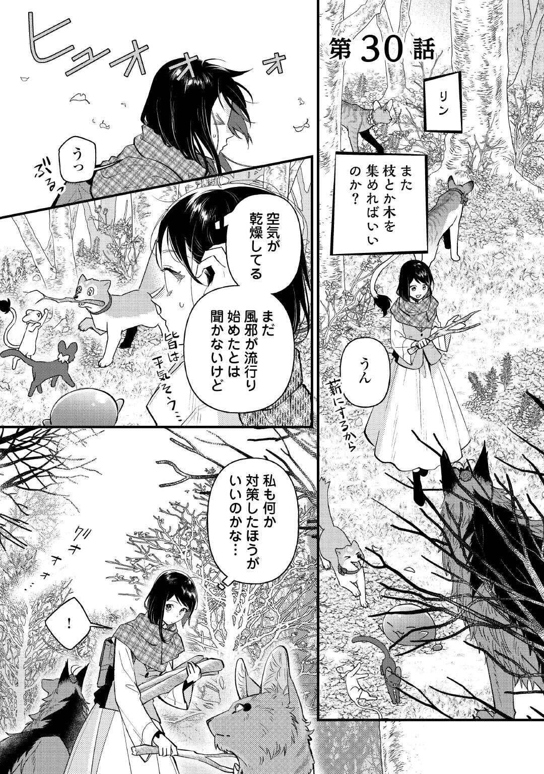 転移先は薬師が少ない世界でした 第30話 - Page 1