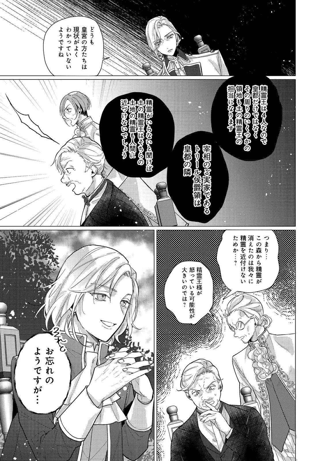 転生令嬢は精霊に愛されて最強です……だけど普通に恋したい！＠COMIC 第10話 - Page 17