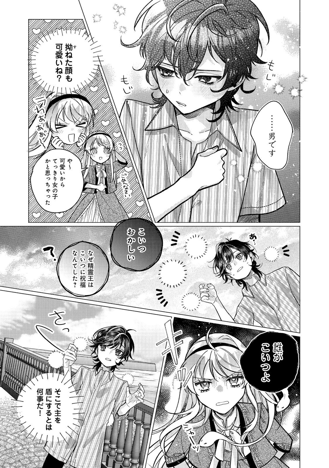 転生令嬢は精霊に愛されて最強です……だけど普通に恋したい！＠COMIC 第15話 - Page 25