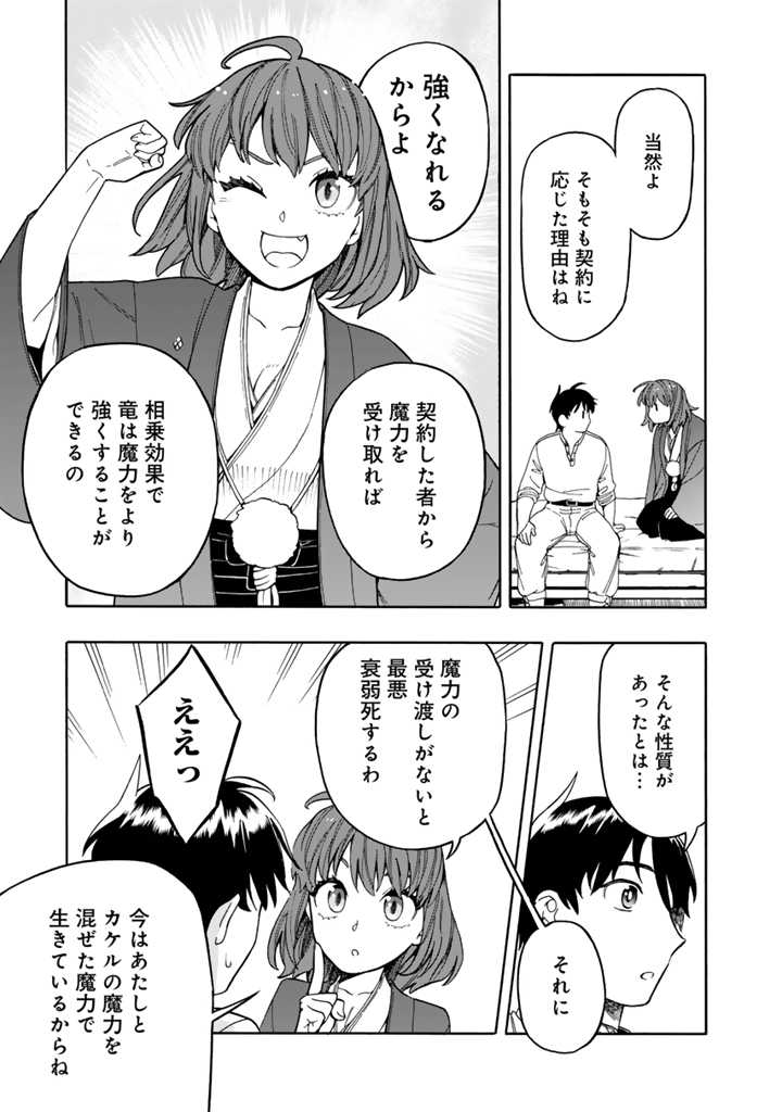 転生竜騎の英雄譚 第7.1話 - Page 5