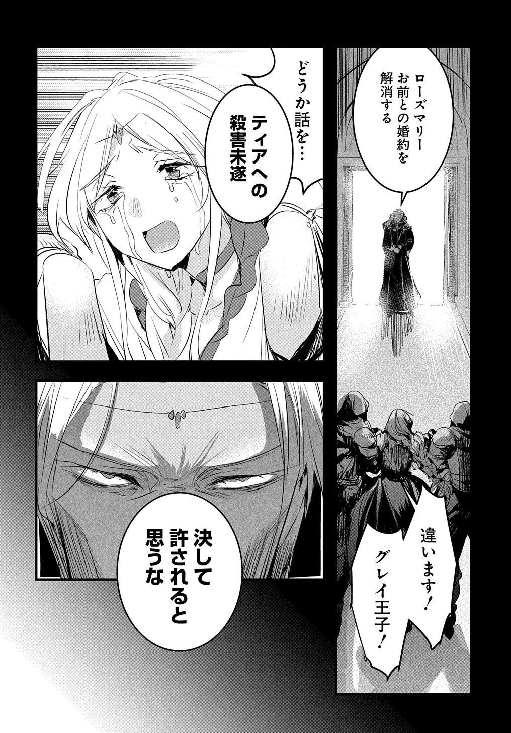 転生した悪役令嬢は復讐を望まない 第22話 - Page 4