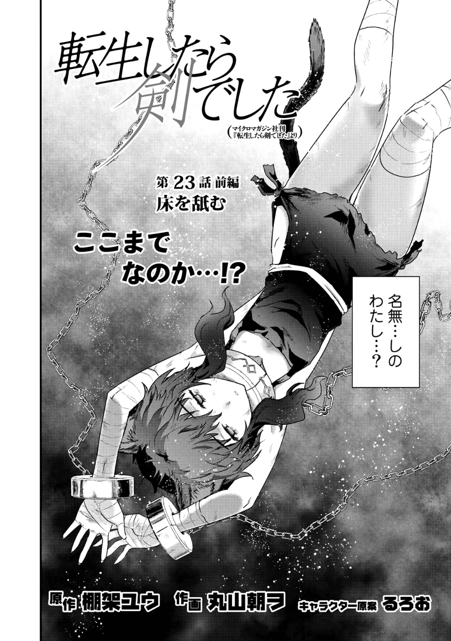 転生したら剣でした 第23.1話 - Page 3