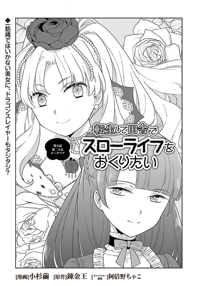 転生して田舎でスローライフをおくりたい 第45話 - Page 1