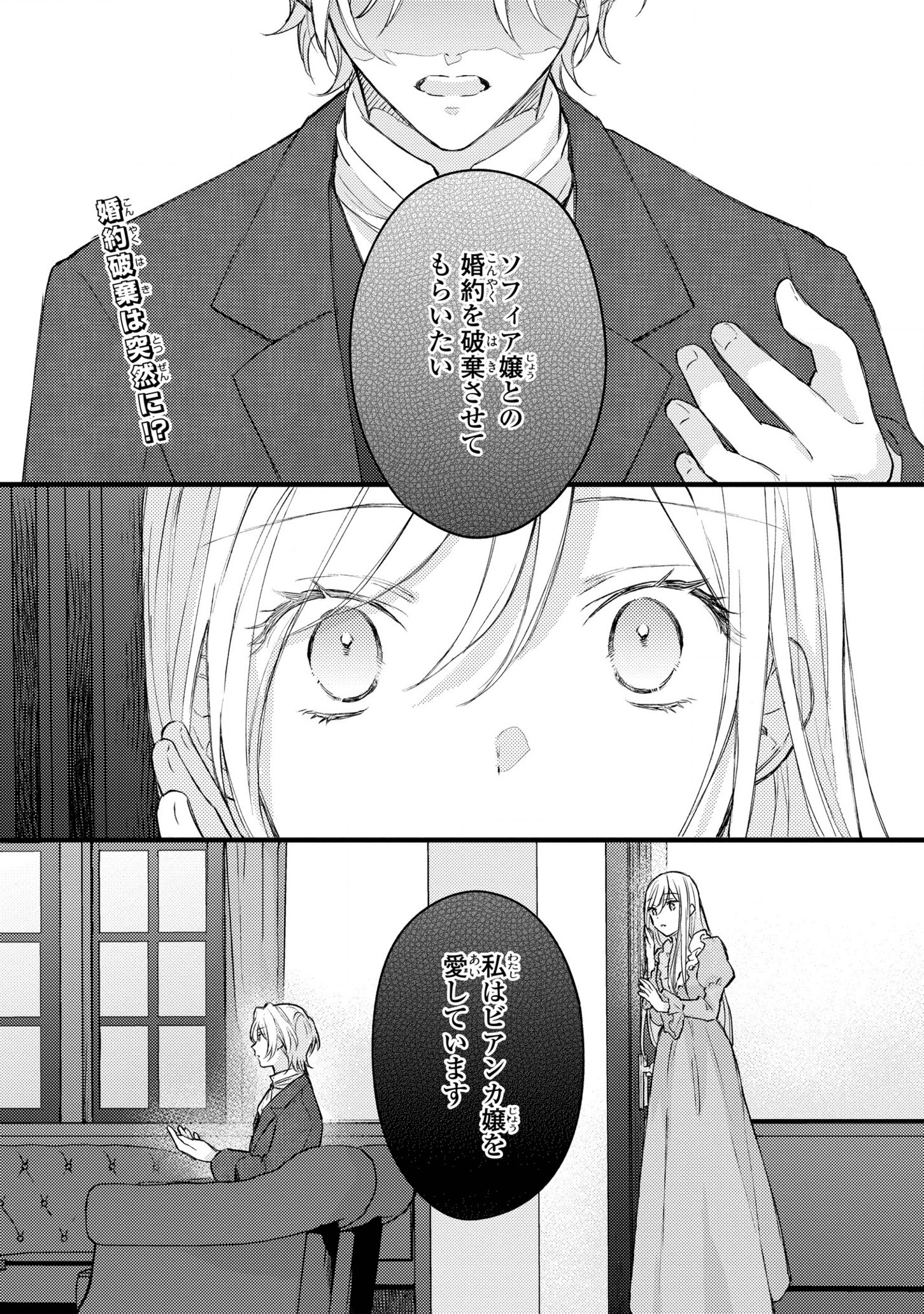 捨てられ男爵令嬢は黒騎士様のお気に入り 第1話 - Page 3