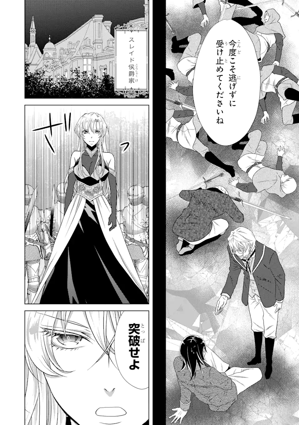 悪徳女王の心得 第15.2話 - Page 17