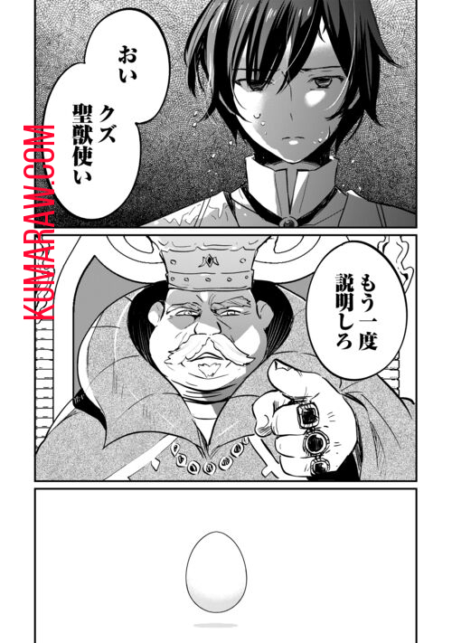 トカゲ（本当は神竜）を召喚した聖獣使い、竜の背中で開拓ライフ 第1.1話 - Page 14