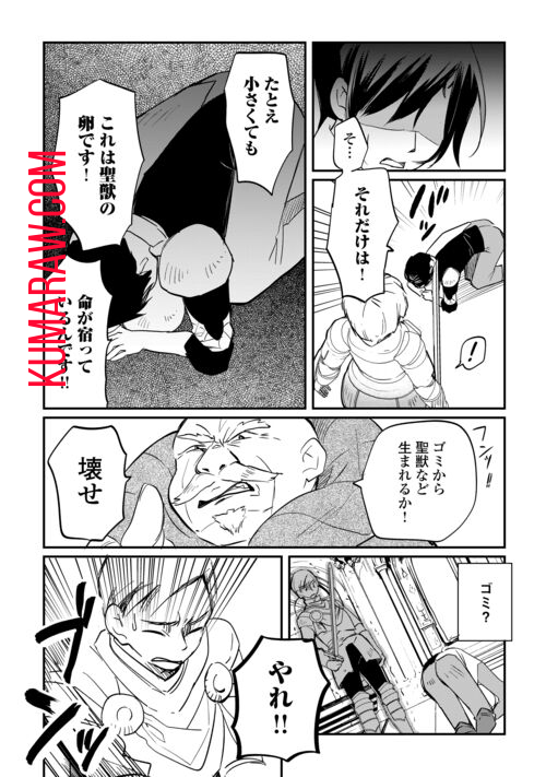 トカゲ（本当は神竜）を召喚した聖獣使い、竜の背中で開拓ライフ 第1.1話 - Page 20