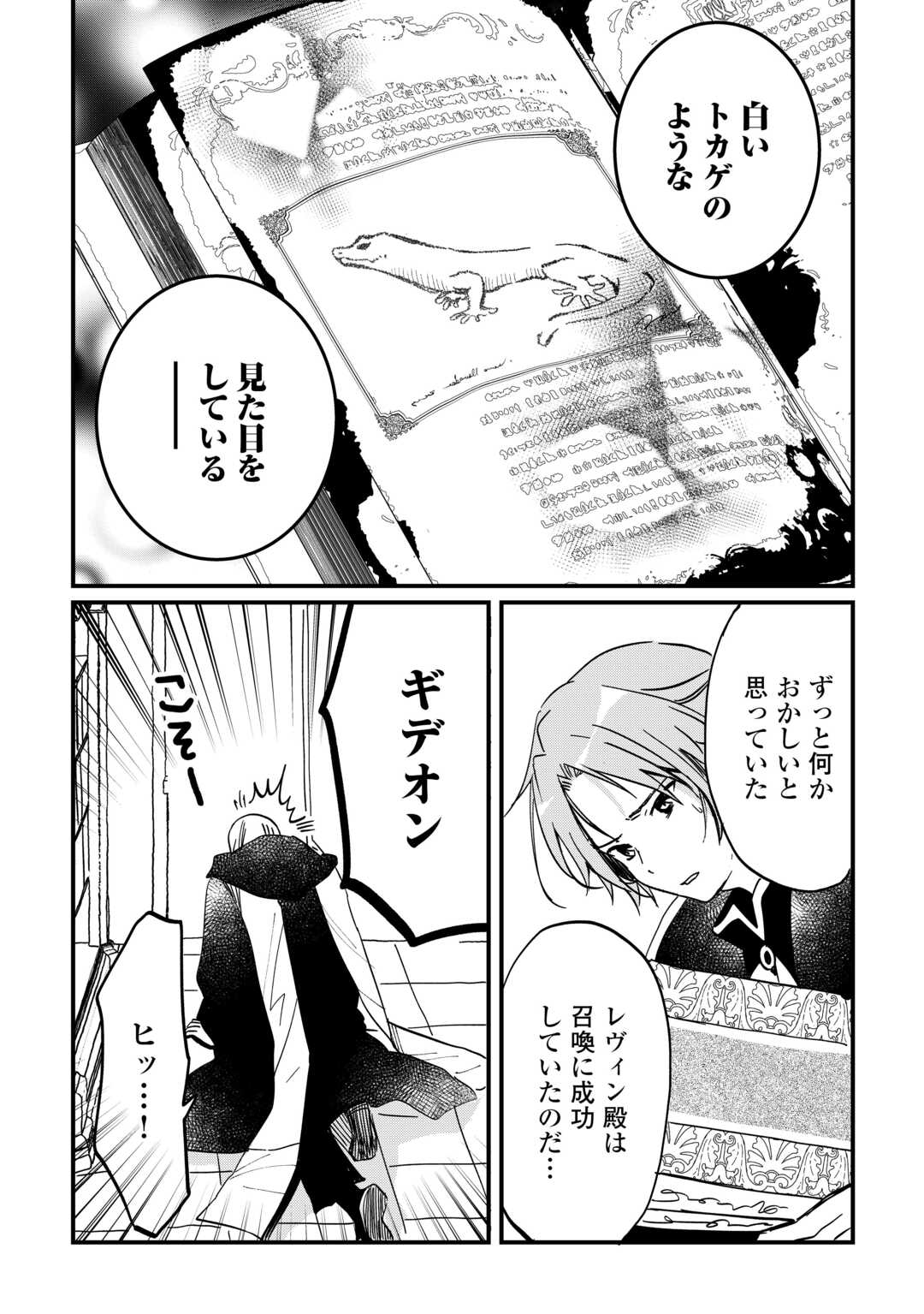 トカゲ（本当は神竜）を召喚した聖獣使い、竜の背中で開拓ライフ 第5話 - Page 24