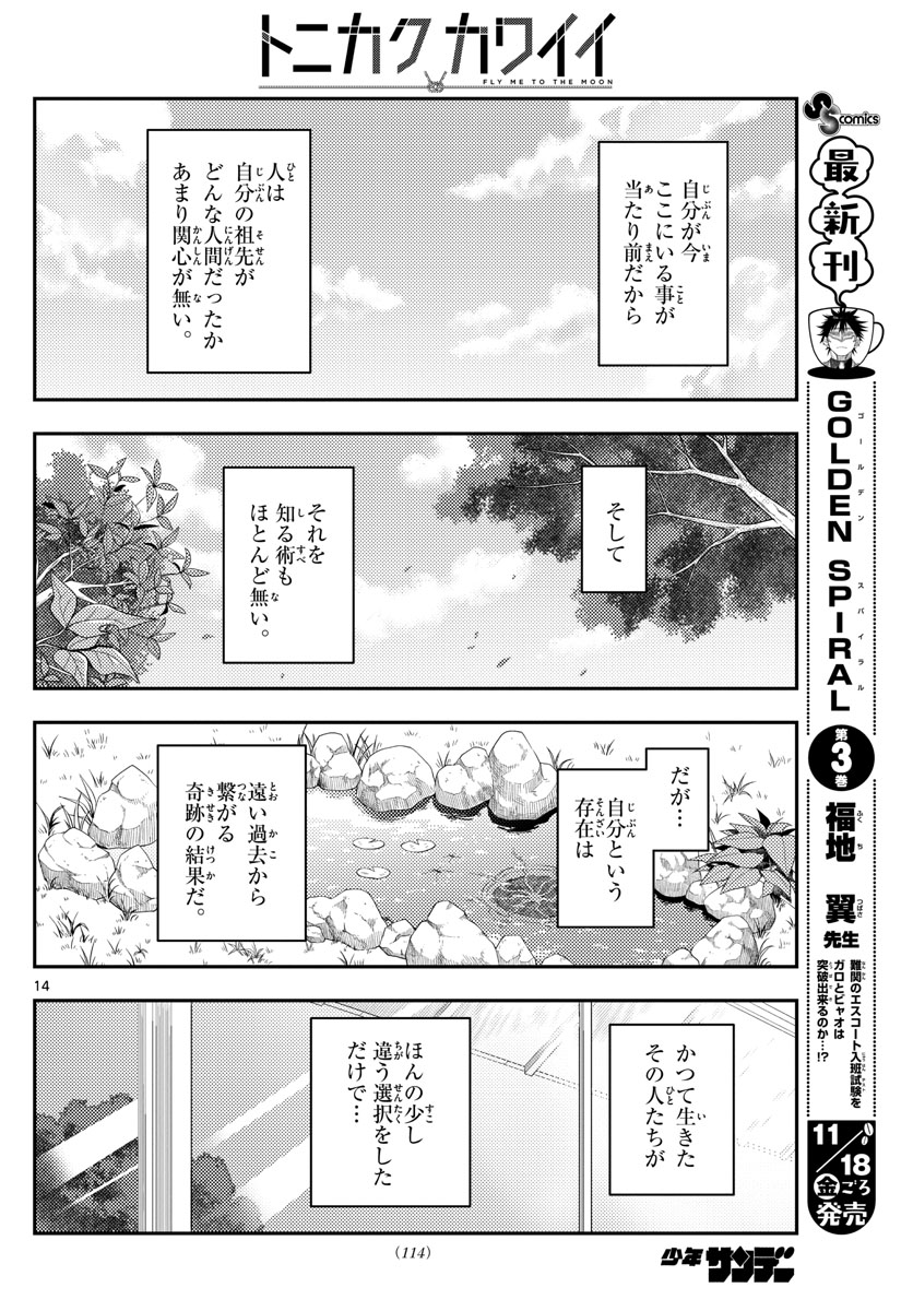 トニカクカワイイ 第213話 - Page 14