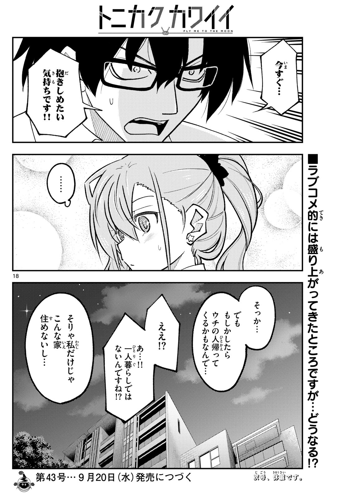 トニカクカワイイ 第247話 - Page 18