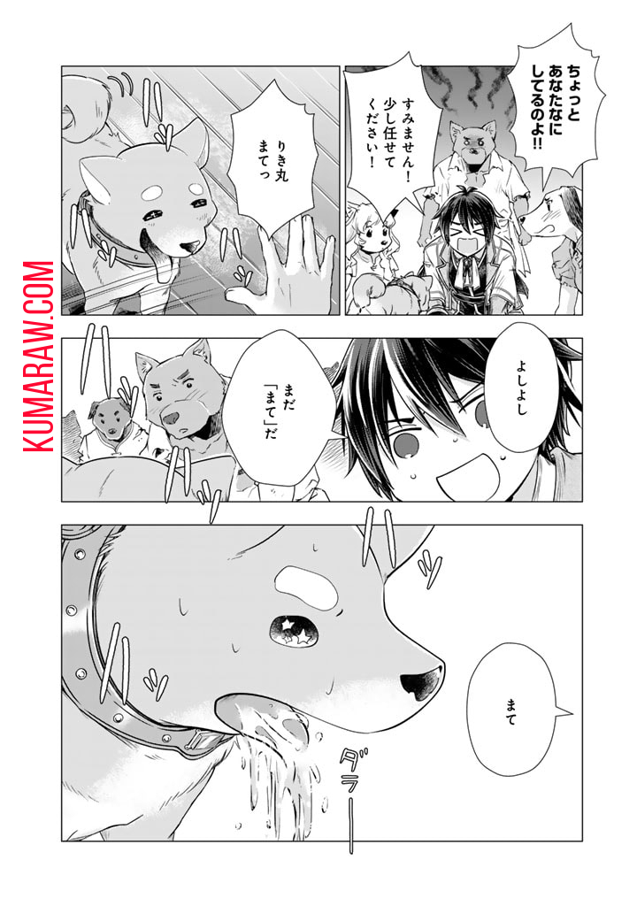 うちの犬が強すぎるんですが!?　転生したら女神様の祝福で世界を救うことになりました 第13話 - Page 6