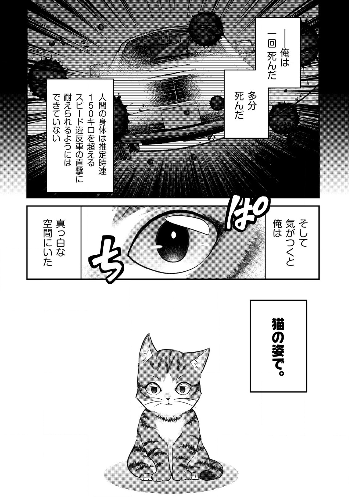 我輩は猫魔導師である～キジトラ・ルークの快適チート猫生活～ 第1話 - Page 5