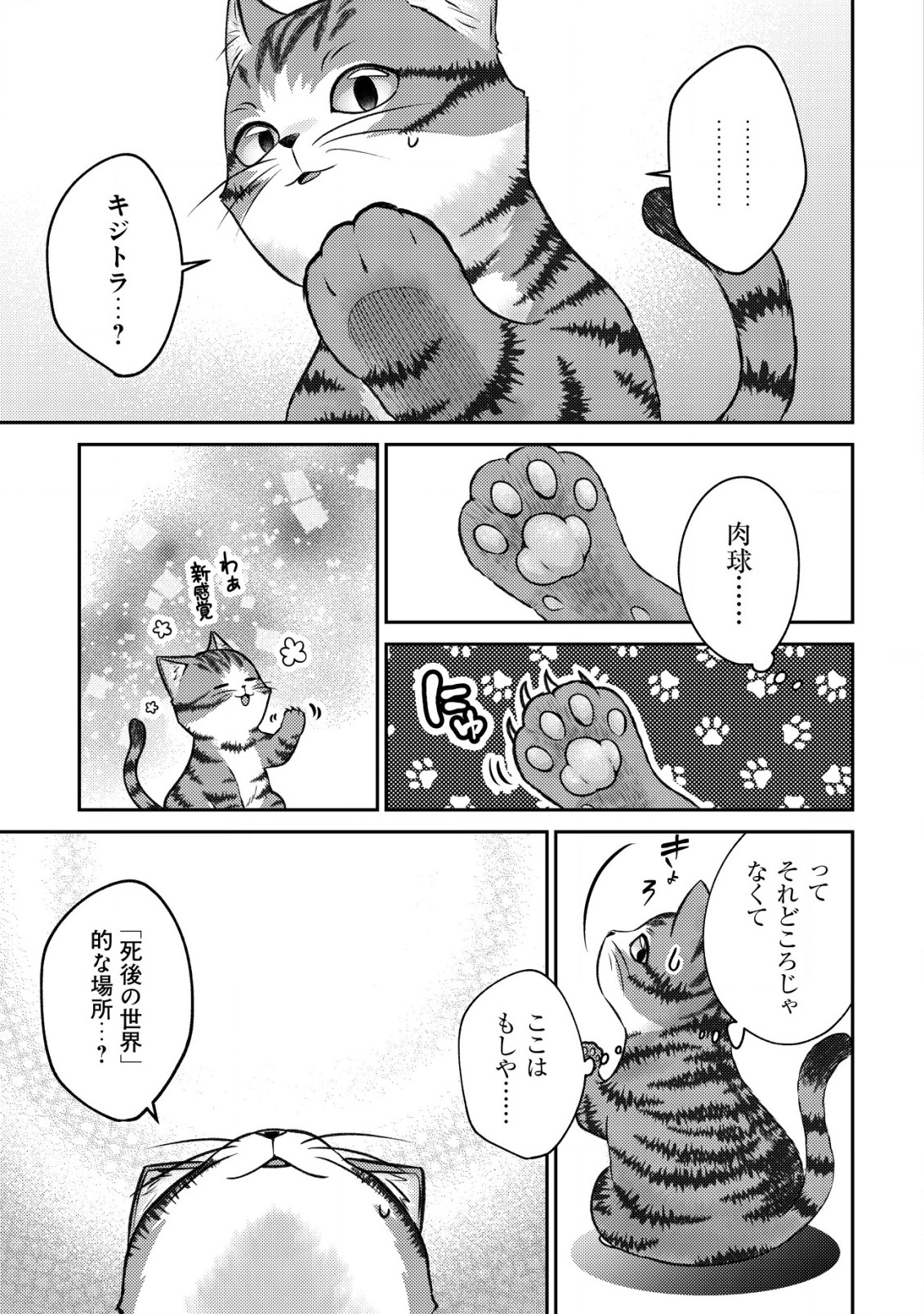 我輩は猫魔導師である～キジトラ・ルークの快適チート猫生活～ 第1話 - Page 6