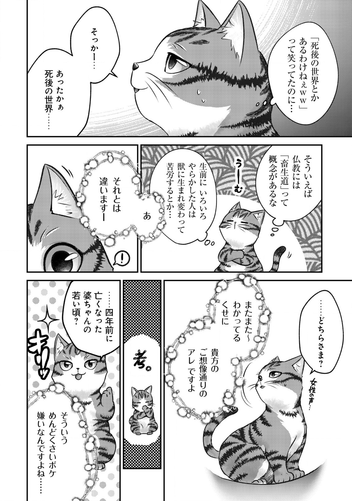 我輩は猫魔導師である～キジトラ・ルークの快適チート猫生活～ 第1話 - Page 6