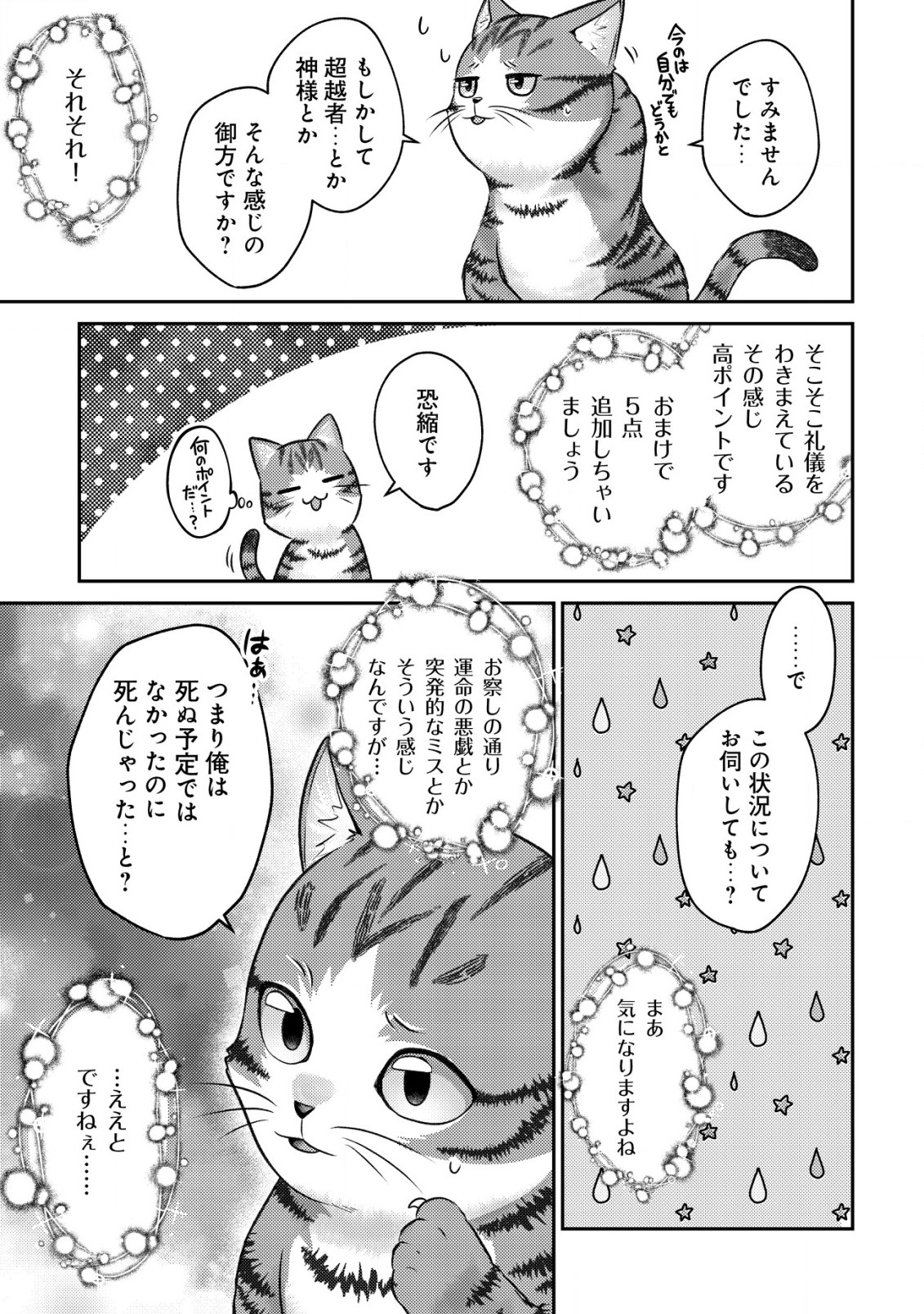 我輩は猫魔導師である～キジトラ・ルークの快適チート猫生活～ 第1話 - Page 7