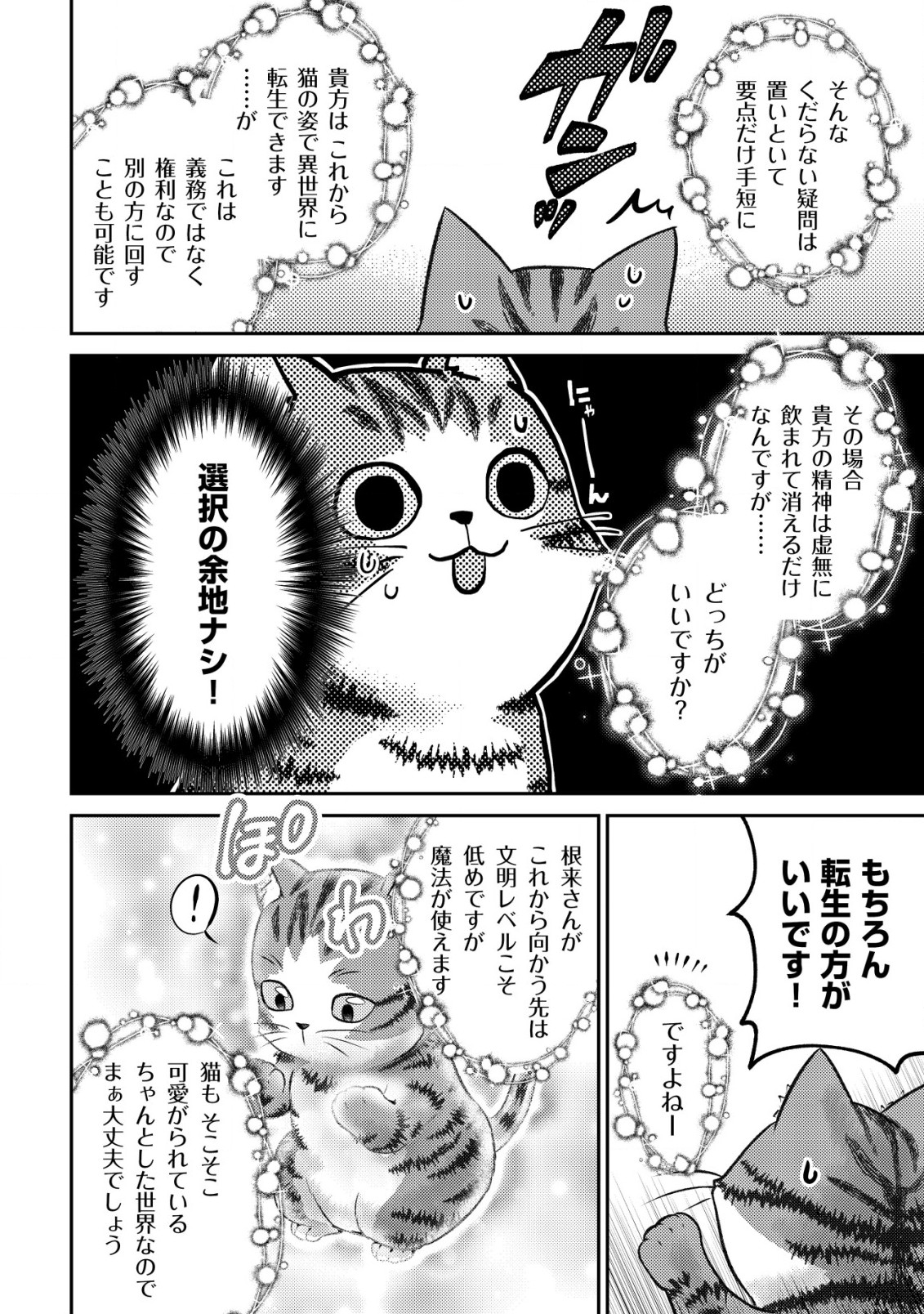 我輩は猫魔導師である～キジトラ・ルークの快適チート猫生活～ 第1話 - Page 11