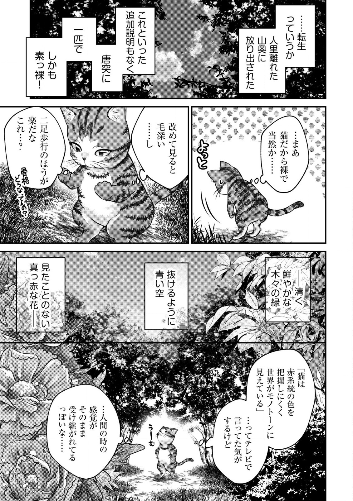 我輩は猫魔導師である～キジトラ・ルークの快適チート猫生活～ 第1話 - Page 14