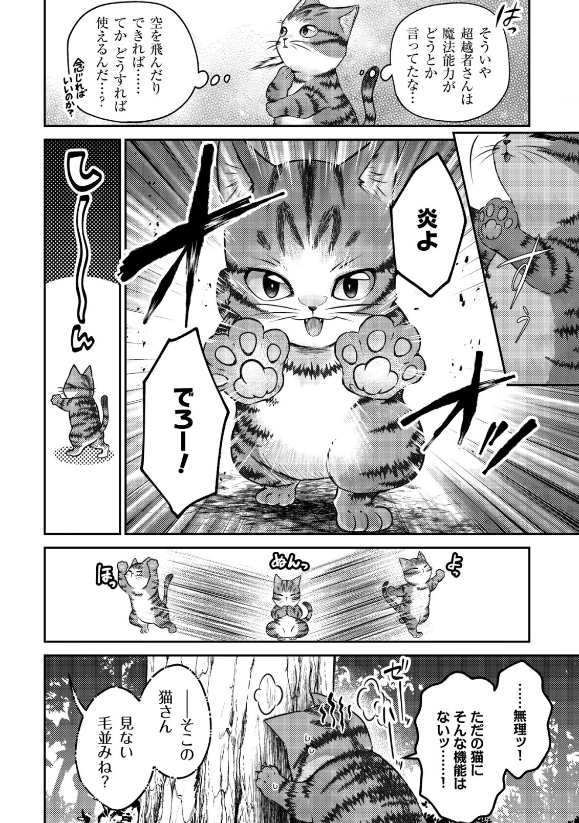 我輩は猫魔導師である～キジトラ・ルークの快適チート猫生活～ 第1話 - Page 17