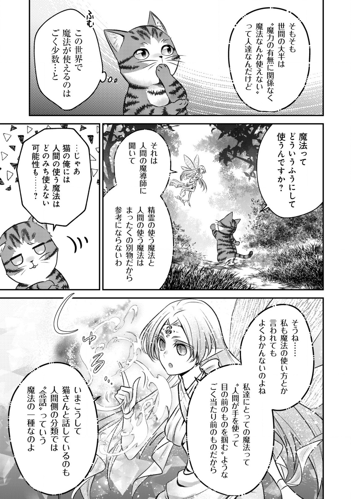 我輩は猫魔導師である～キジトラ・ルークの快適チート猫生活～ 第1話 - Page 26