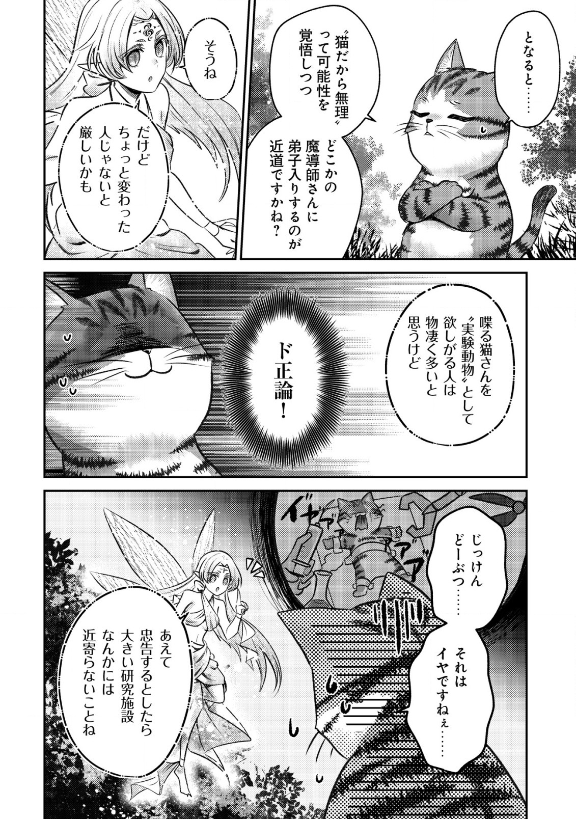 我輩は猫魔導師である～キジトラ・ルークの快適チート猫生活～ 第1話 - Page 27