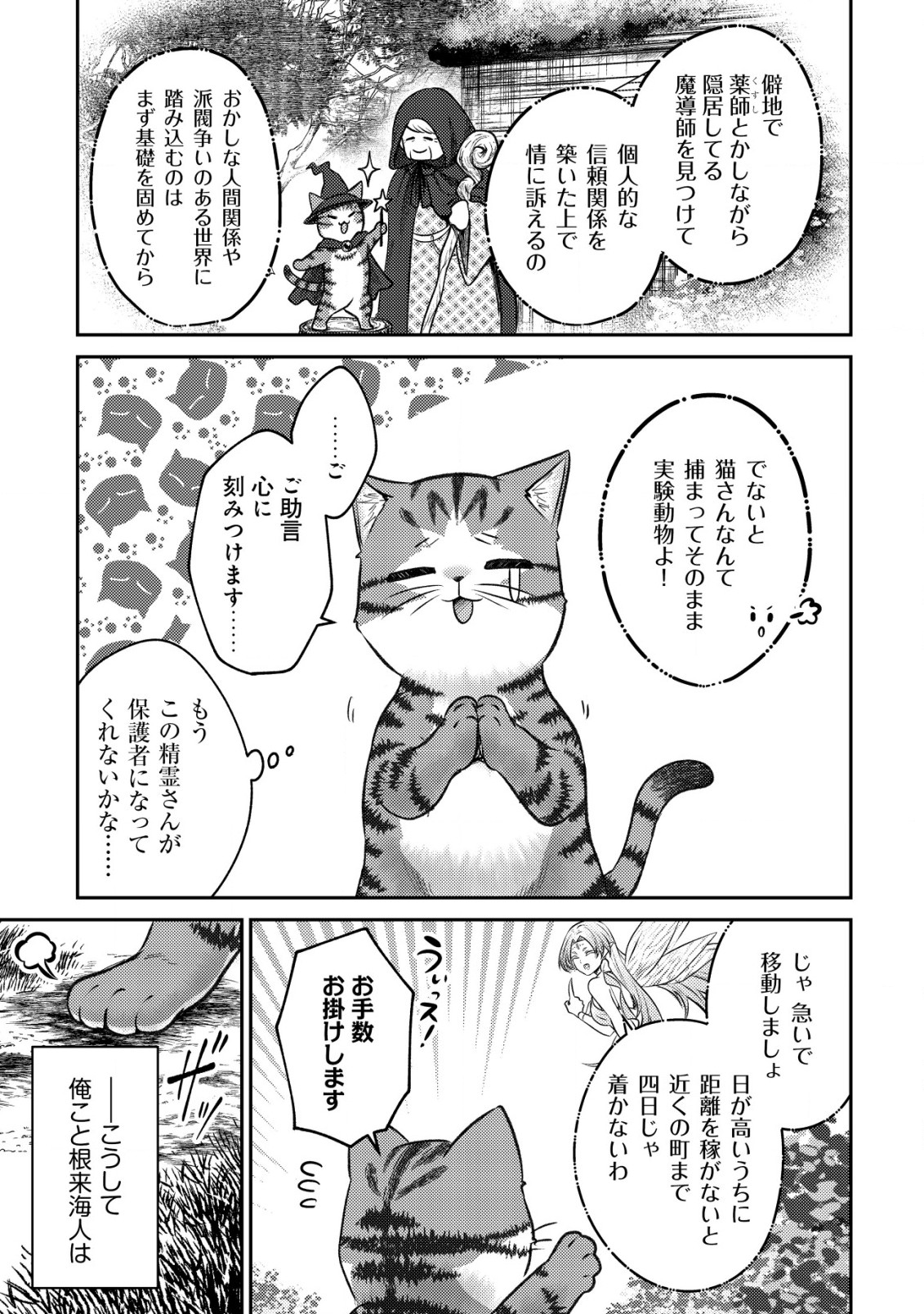 我輩は猫魔導師である～キジトラ・ルークの快適チート猫生活～ 第1話 - Page 27