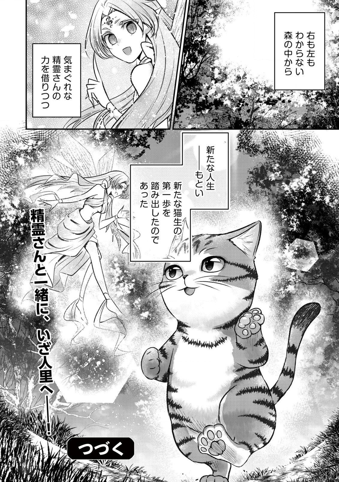 我輩は猫魔導師である～キジトラ・ルークの快適チート猫生活～ 第1話 - Page 28