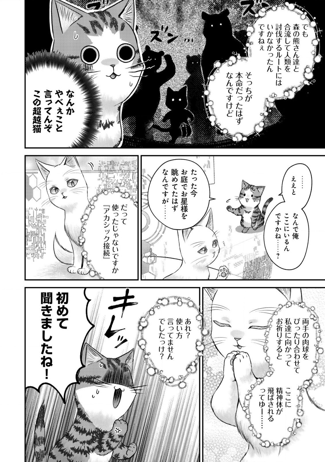 我輩は猫魔導師である～キジトラ・ルークの快適チート猫生活～ 第10.1話 - Page 3