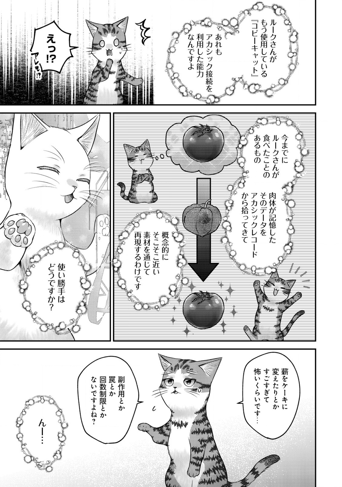 我輩は猫魔導師である～キジトラ・ルークの快適チート猫生活～ 第10.1話 - Page 7