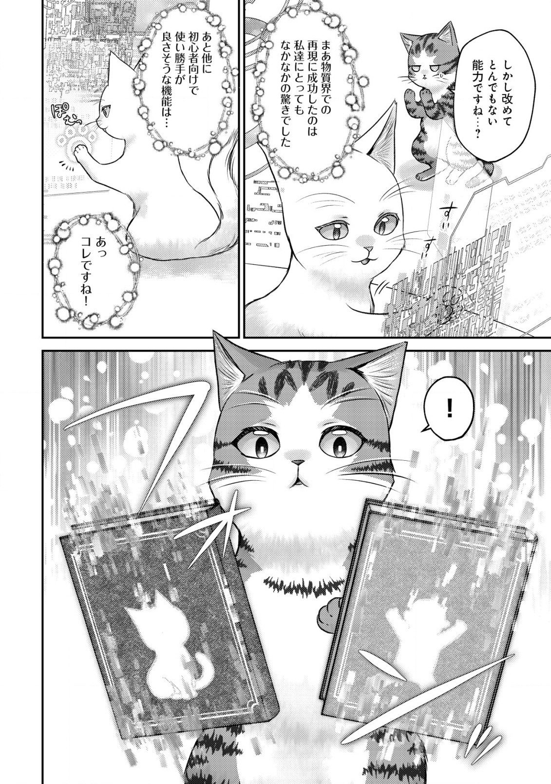 我輩は猫魔導師である～キジトラ・ルークの快適チート猫生活～ 第10.1話 - Page 11