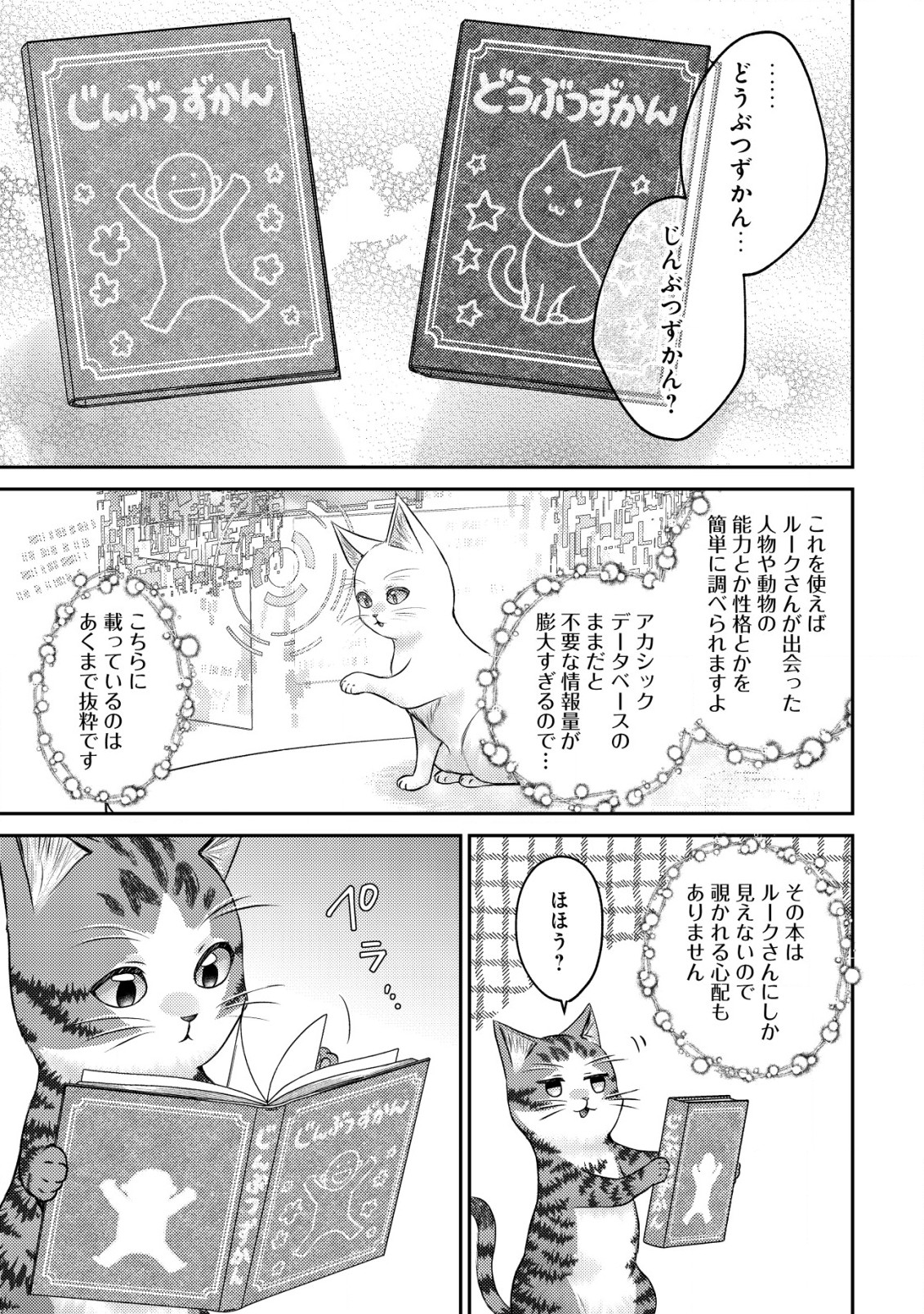 我輩は猫魔導師である～キジトラ・ルークの快適チート猫生活～ 第10.1話 - Page 11