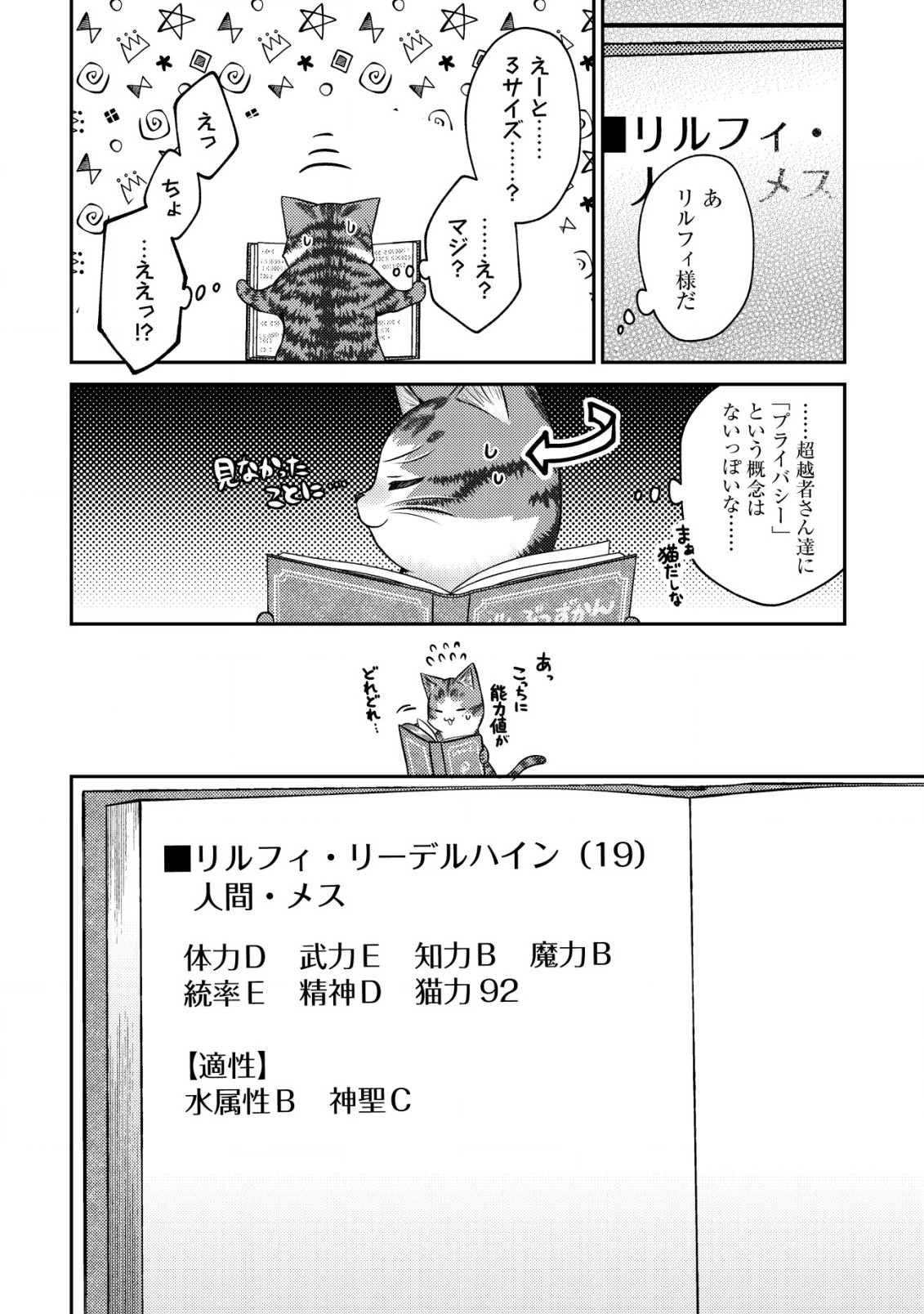 我輩は猫魔導師である～キジトラ・ルークの快適チート猫生活～ 第10.1話 - Page 13