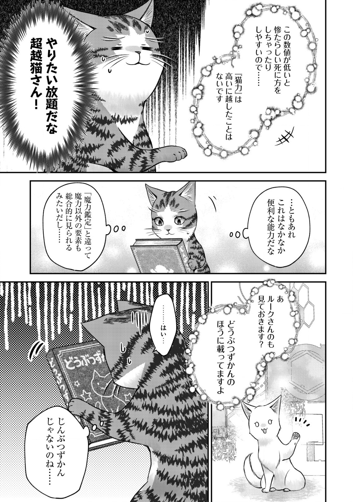 我輩は猫魔導師である～キジトラ・ルークの快適チート猫生活～ 第10.1話 - Page 15