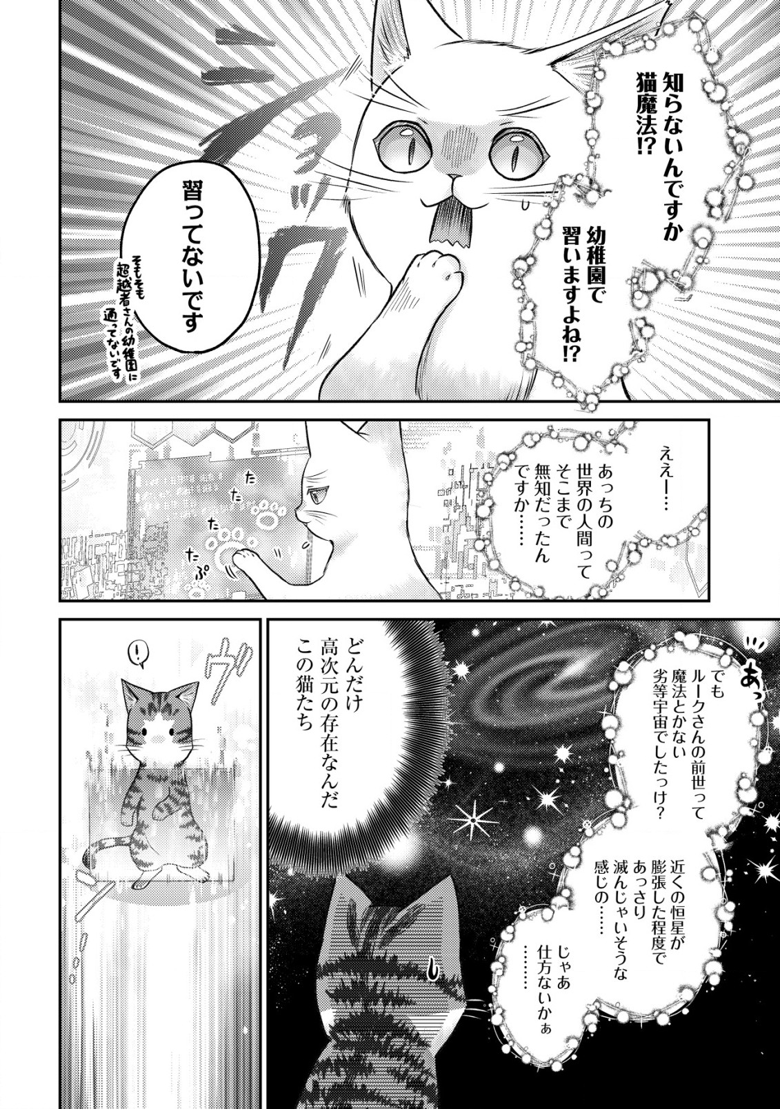 我輩は猫魔導師である～キジトラ・ルークの快適チート猫生活～ 第10.2話 - Page 6